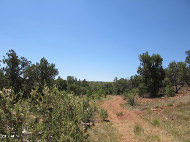 6812 Queens High Road, Unit 40925038 Show Low, AZ 85901 - Photo 14 of 26 15