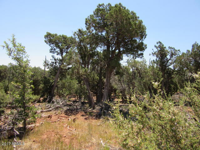 6812 Queens High Road, Unit 40925038 Show Low, AZ 85901 - Photo 15 of 26 16