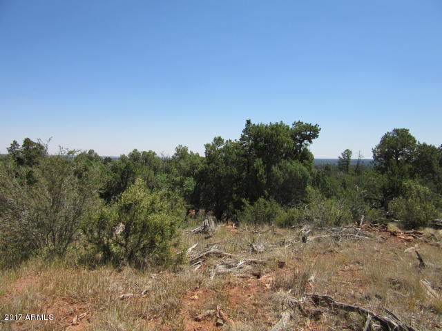 6812 Queens High Road, Unit 40925038 Show Low, AZ 85901 - Photo 16 of 26 17