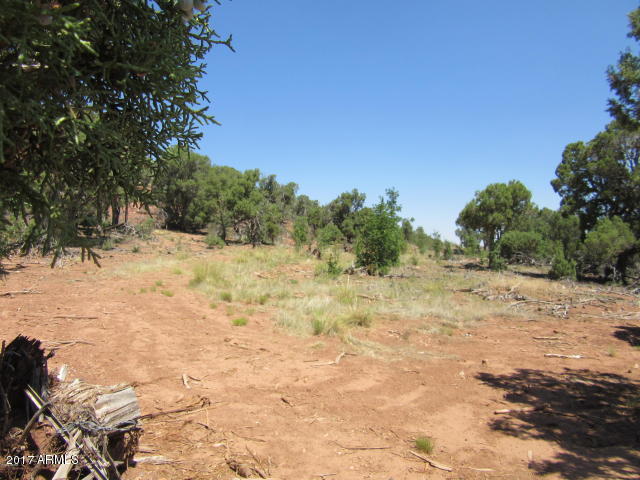 6812 Queens High Road, Unit 40925038 Show Low, AZ 85901 - Photo 19 of 26 21