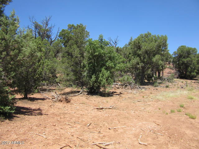6812 Queens High Road, Unit 40925038 Show Low, AZ 85901 - Photo 20 of 26 22