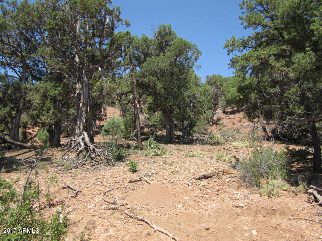 6812 Queens High Road, Unit 40925038 Show Low, AZ 85901 - Photo 23 of 26 25