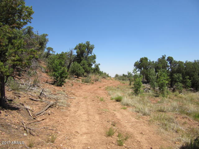 6812 Queens High Road, Unit 40925038 Show Low, AZ 85901 - Photo 24 of 26 26