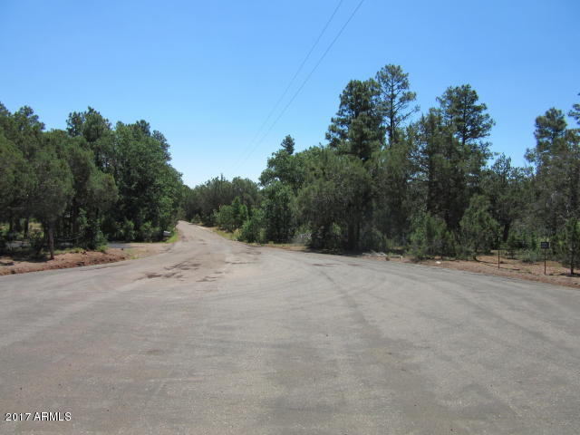 6812 Queens High Road, Unit 40925038 Show Low, AZ 85901 - Photo 25 of 26 27