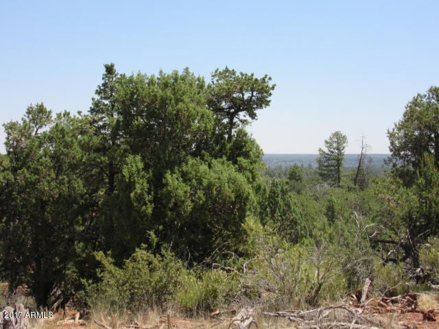 6812 Queens High Road, Unit 40925038 Show Low, AZ 85901 - Photo 26 of 26 148