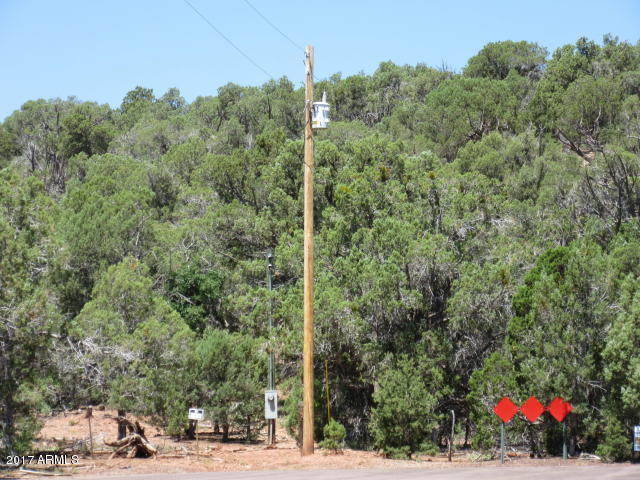 6812 Queens High Road, Unit 40925038 Show Low, AZ 85901 - Photo 3 of 26 3