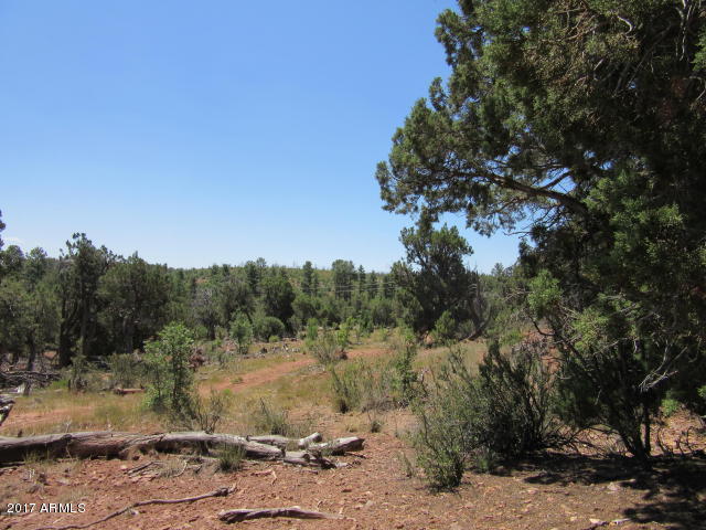 6812 Queens High Road, Unit 40925038 Show Low, AZ 85901 - Photo 4 of 26 4