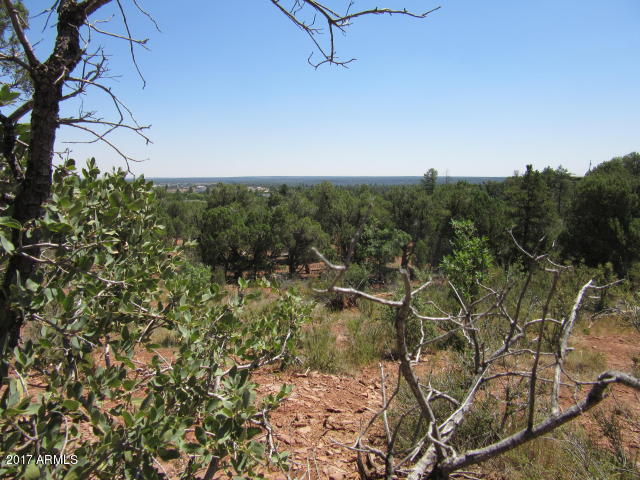 6812 Queens High Road, Unit 40925038 Show Low, AZ 85901 - Photo 7 of 26 7