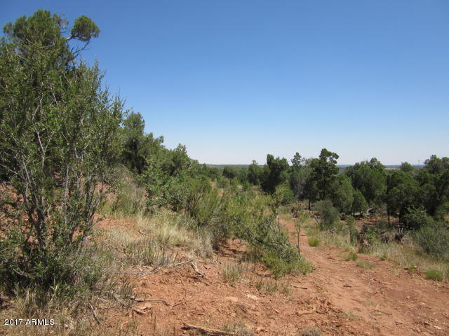 6812 Queens High Road, Unit 40925038 Show Low, AZ 85901 - Photo 9 of 26 9