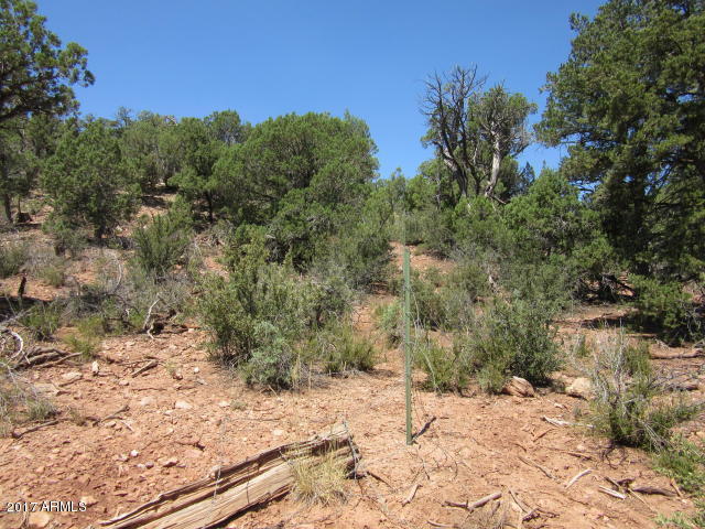 6812 Queens High Road, Unit 40925038 Show Low, AZ 85901 - Photo 10 of 26 10