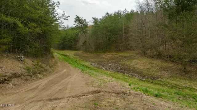 $615,000 | 8651 Tazewell Highway, Sneedville, TN 37869