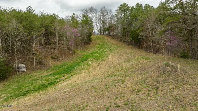 $615,000 | 8651 Tazewell Highway, Sneedville, TN 37869