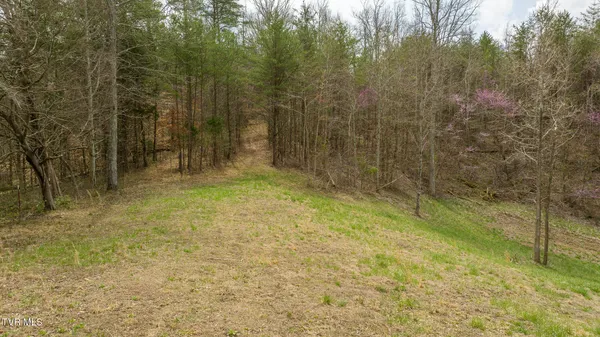 $575,000 | 8651 Tazewell Highway, Sneedville, TN 37869