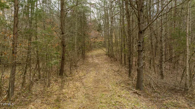 $615,000 | 8651 Tazewell Highway, Sneedville, TN 37869