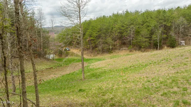 $615,000 | 8651 Tazewell Highway, Sneedville, TN 37869