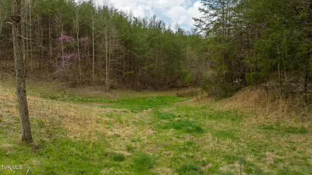 $615,000 | 8651 Tazewell Highway, Sneedville, TN 37869