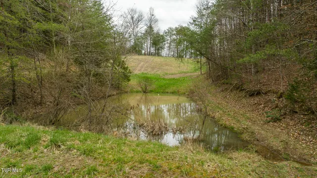 $615,000 | 8651 Tazewell Highway, Sneedville, TN 37869