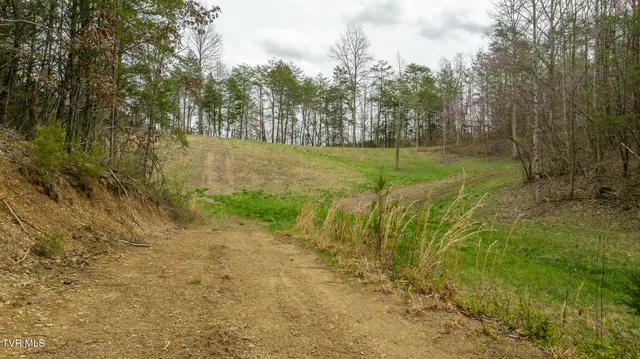 $615,000 | 8651 Tazewell Highway, Sneedville, TN 37869