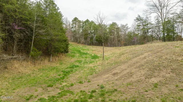 $615,000 | 8651 Tazewell Highway, Sneedville, TN 37869