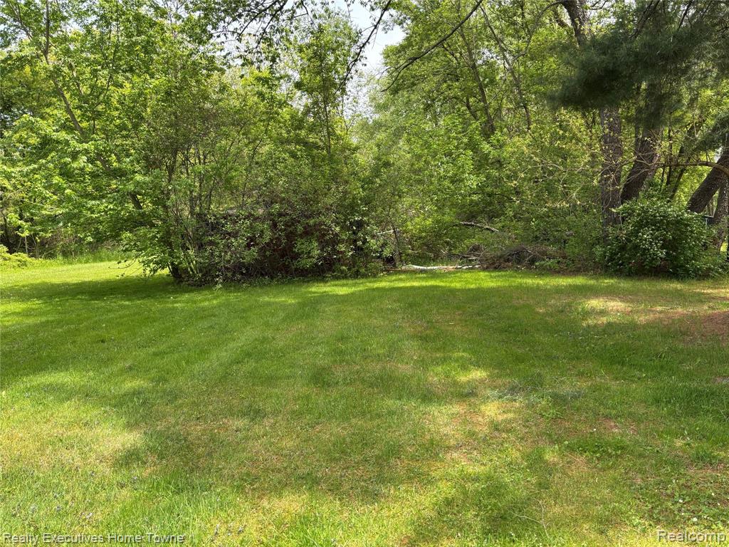 1782 Maple Road Smiths Creek, MI 48074 - Photo 7 of 30