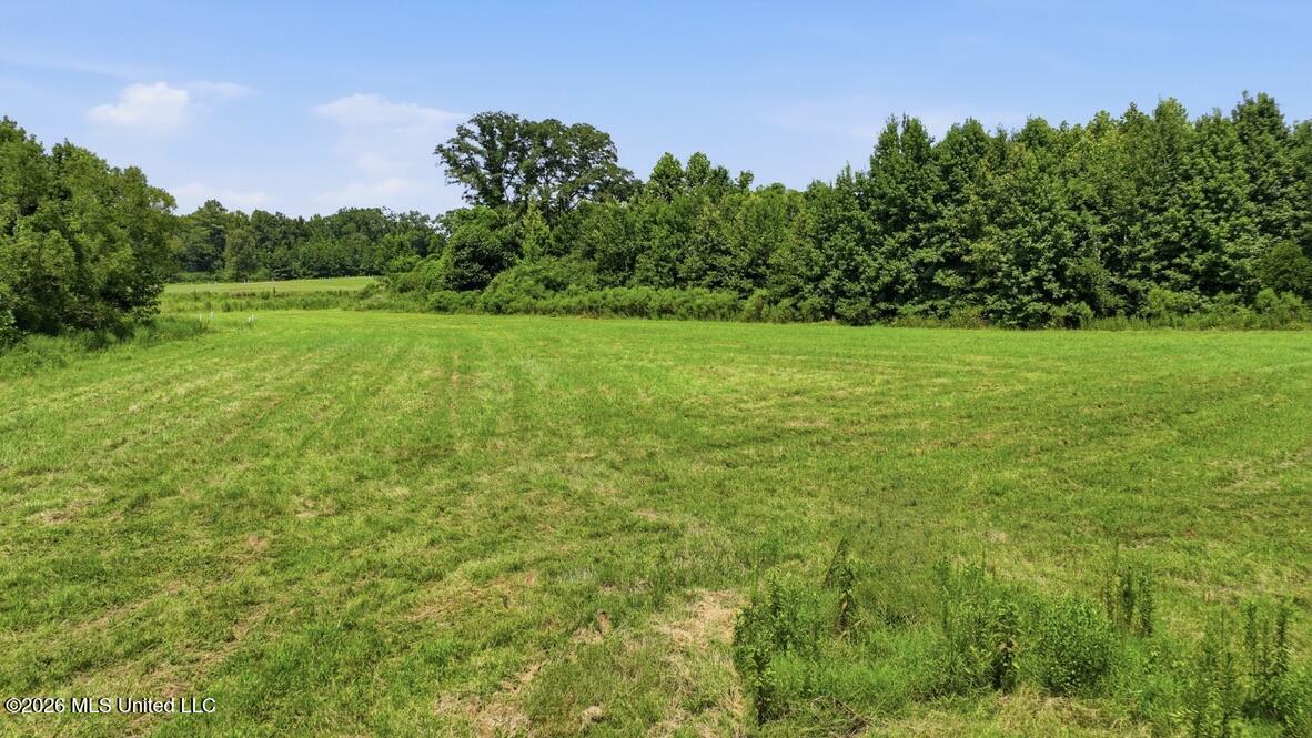 2363 Fugates Road Benton, MS 39039 - Photo 74 of 81 F952837E-157B-4C3A-8FE2-345953C6070E_1_1