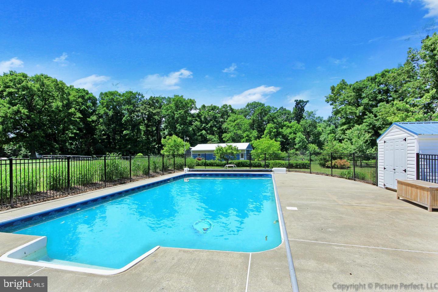 11456 Keymar Road Woodsboro, MD 21798 - Photo 4 of 69 In ground pool with 10" deep end and new shed