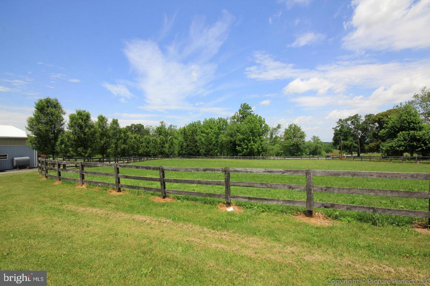 11456 Keymar Road Woodsboro, MD 21798 - Photo 9 of 69 Fenced Paddock