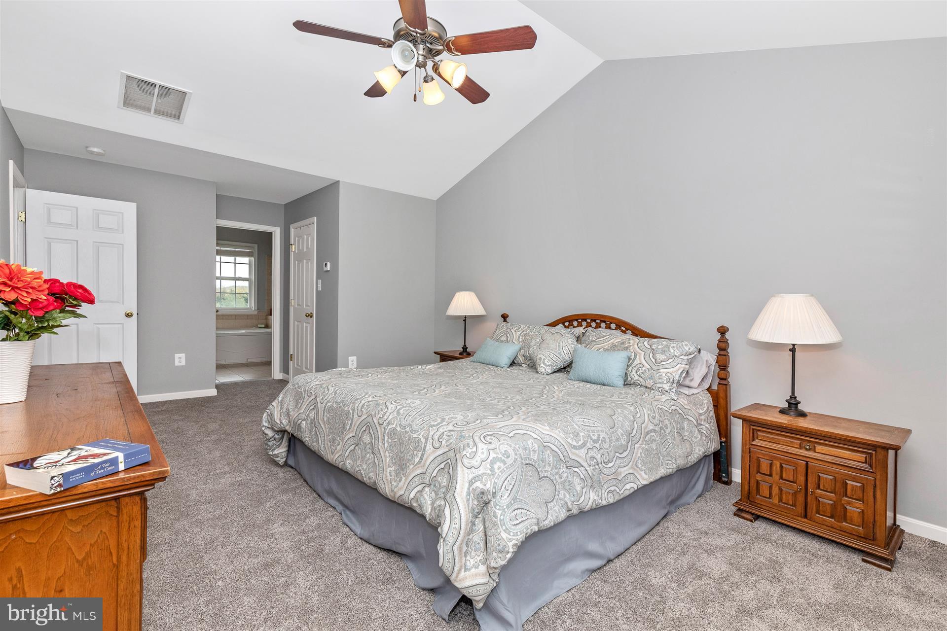 1702 Canal Run Drive Point of Rocks, MD 21777 - Photo 13 of 30 Large master with en suite master bath.
