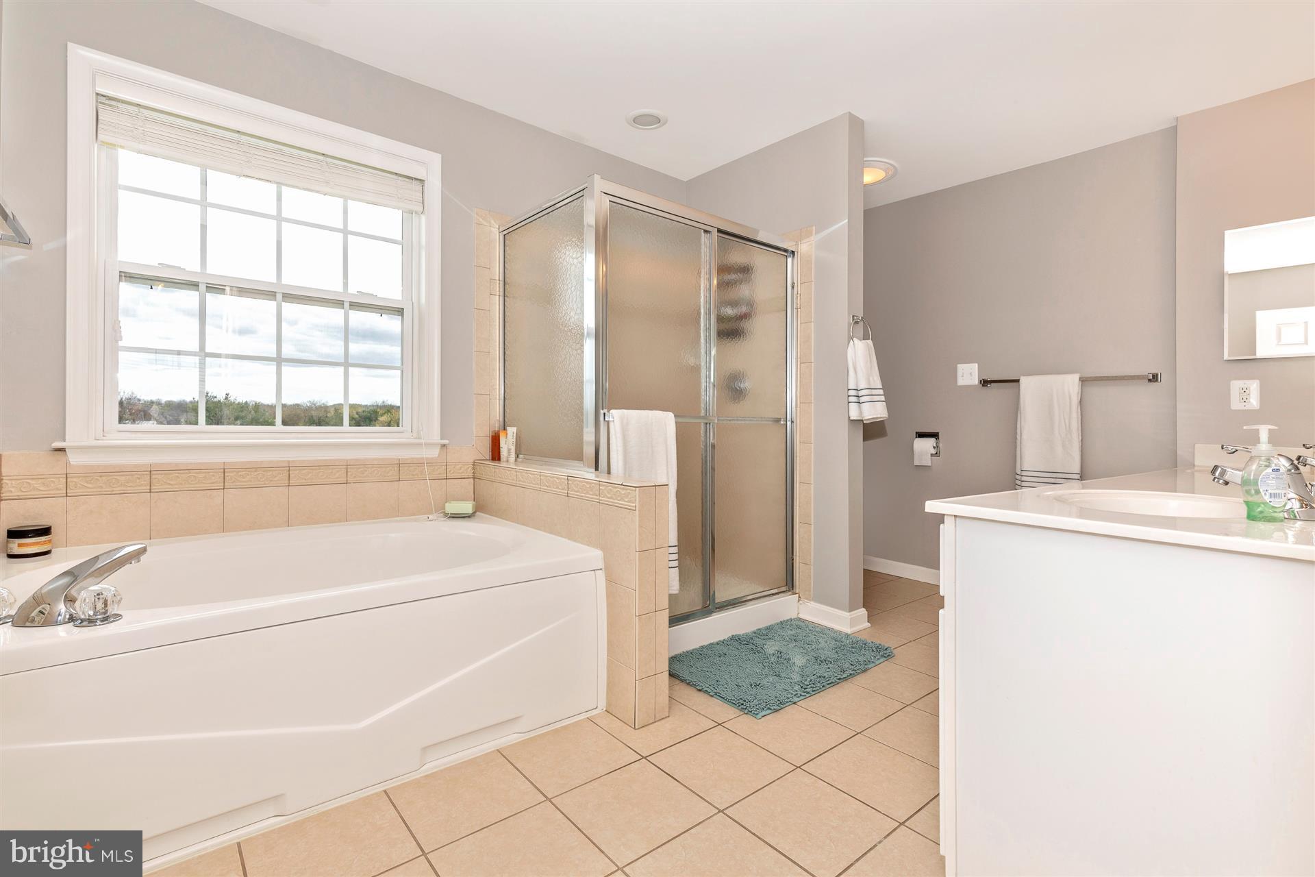 1702 Canal Run Drive Point of Rocks, MD 21777 - Photo 15 of 30 Soaking tub with separate shower and ceramic tile.