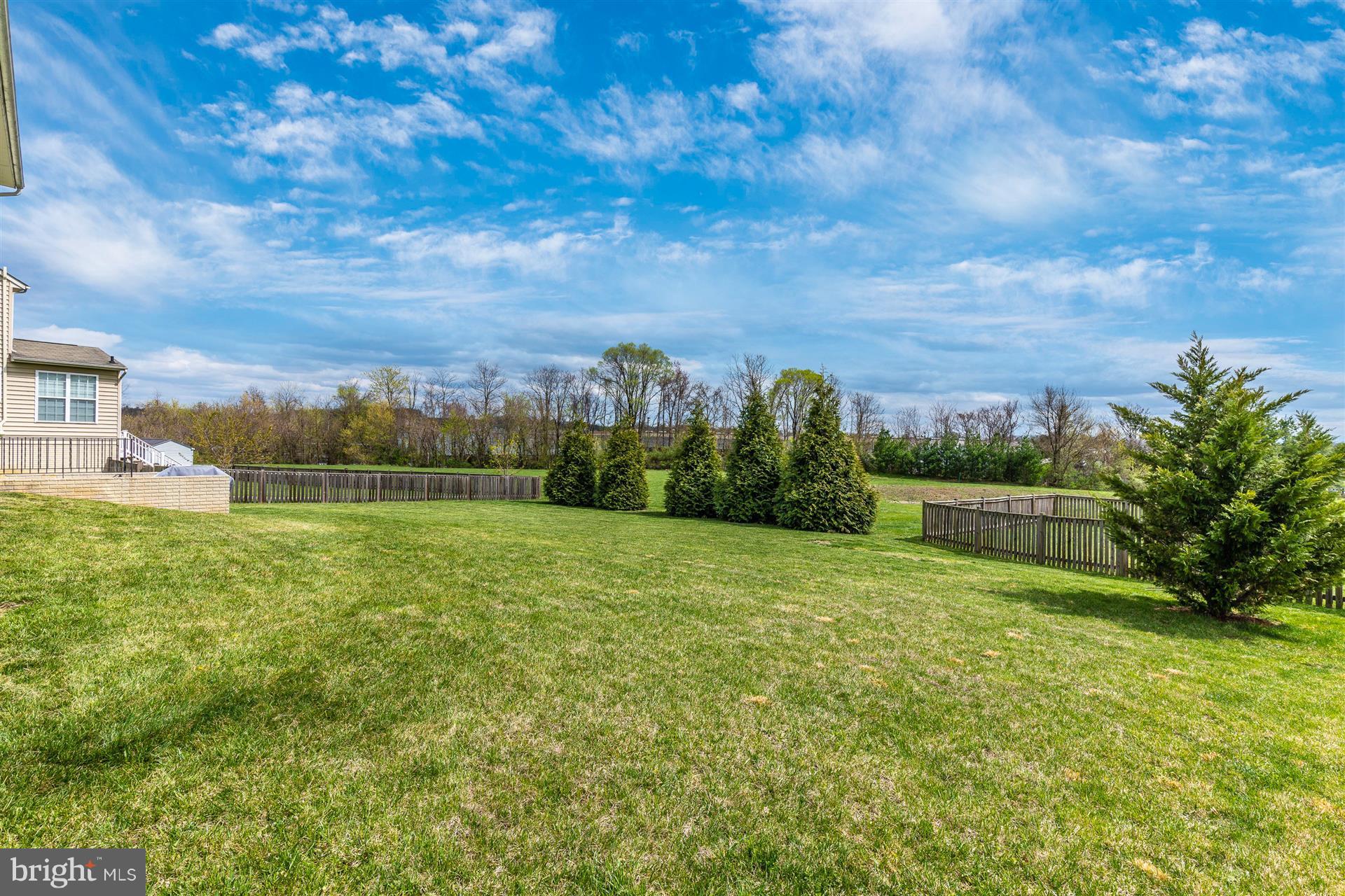 1702 Canal Run Drive Point of Rocks, MD 21777 - Photo 5 of 30 Common area green space beyond the backyard!