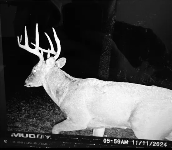 $350,000 | 9997 Harmony Road, Carthage, MO 64836