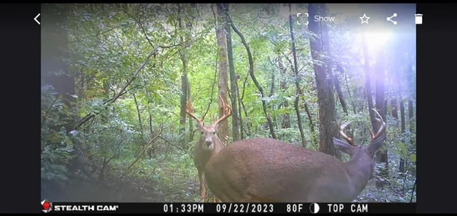 $350,000 | 9997 Harmony Road, Carthage, MO 64836