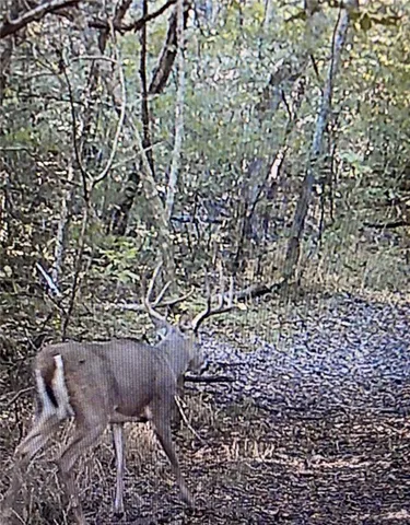 $350,000 | 9997 Harmony Road, Carthage, MO 64836