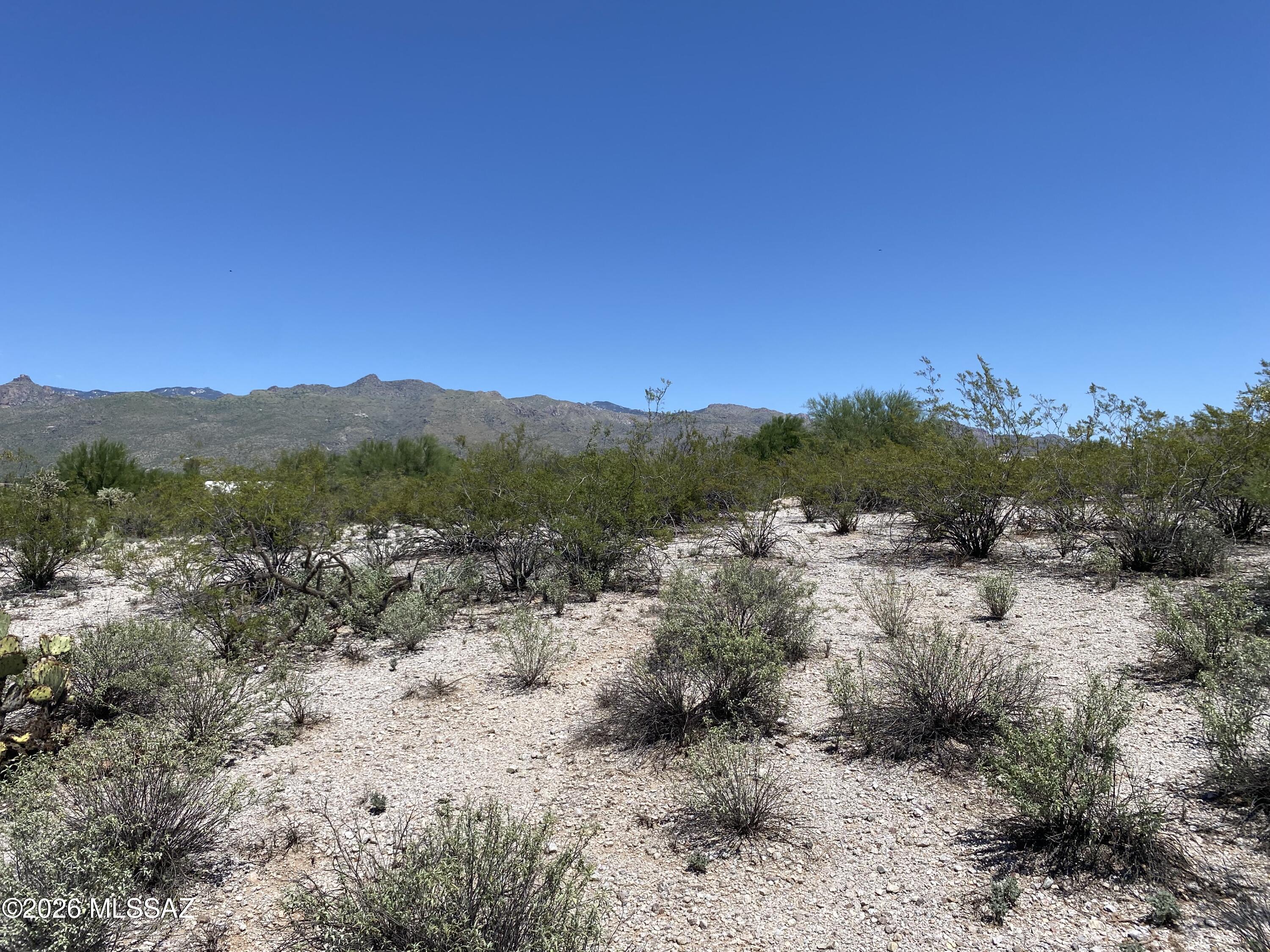 5-acres East Kleindale Road Tucson, AZ 85749 - Photo 19 of 23 IMG_3799