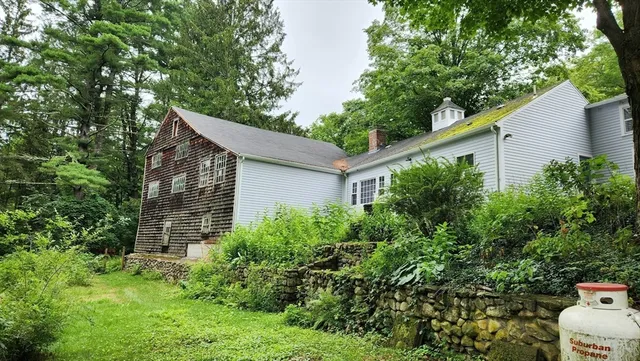 a backyard of a house with plants and tree