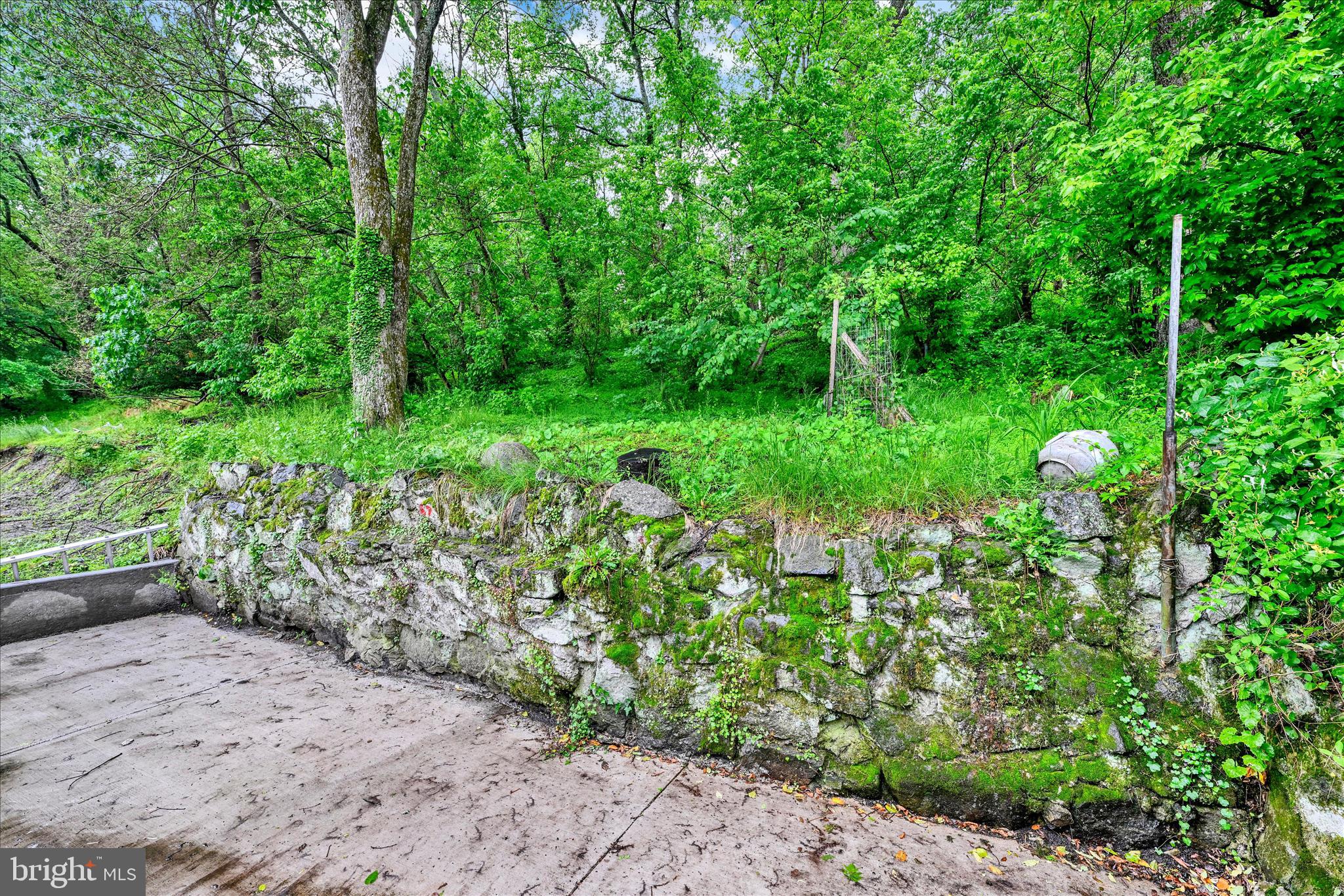 8511 Frederick Road Ellicott City, MD 21043 - Photo 29 of 36 a view of a garden with plants