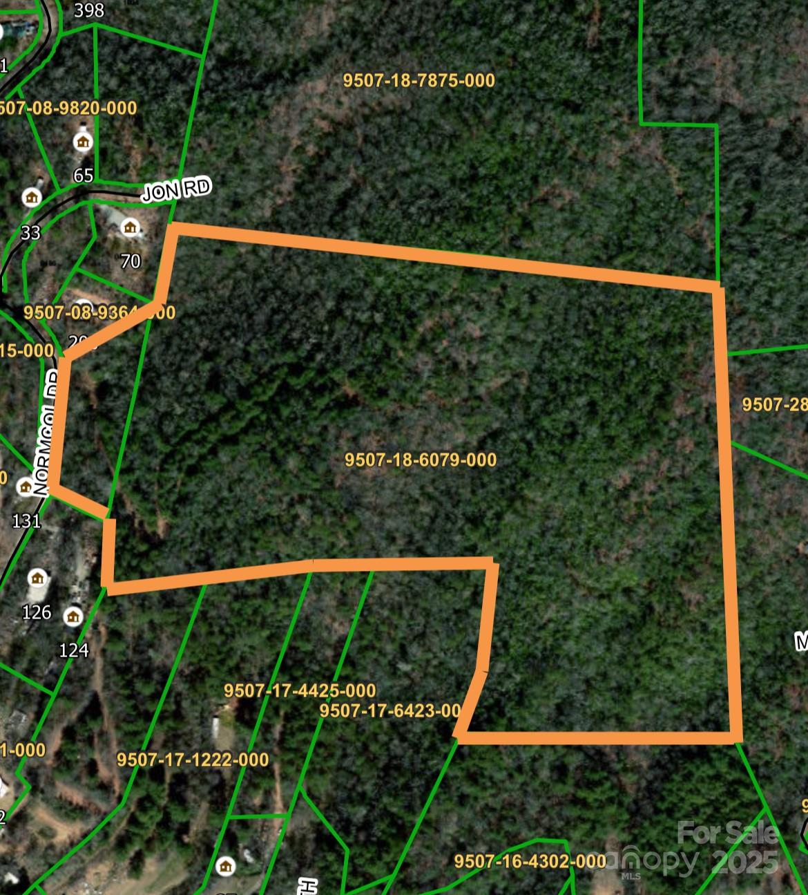 Tbd Tbd Normcol Road Pisgah Forest, NC 28768 - Photo 2 of 10 a view of a yard