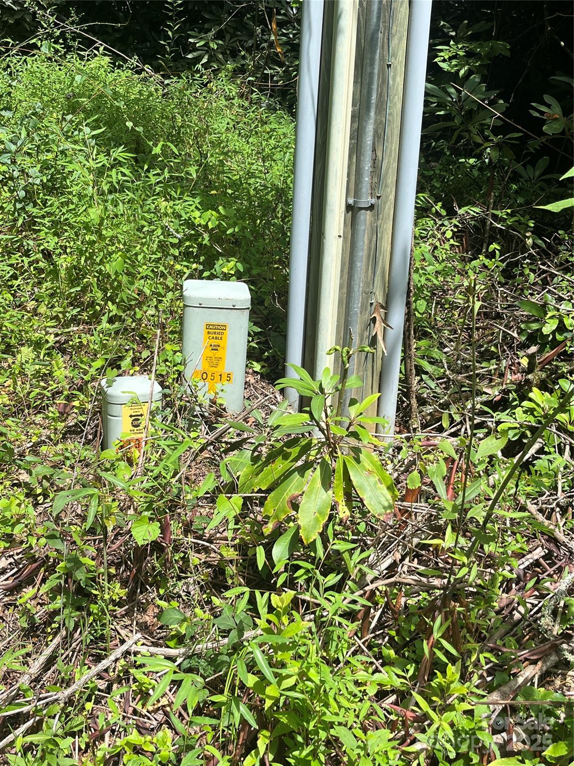 Tbd Tbd Normcol Road Pisgah Forest, NC 28768 - Photo 3 of 10 a view of a back yard
