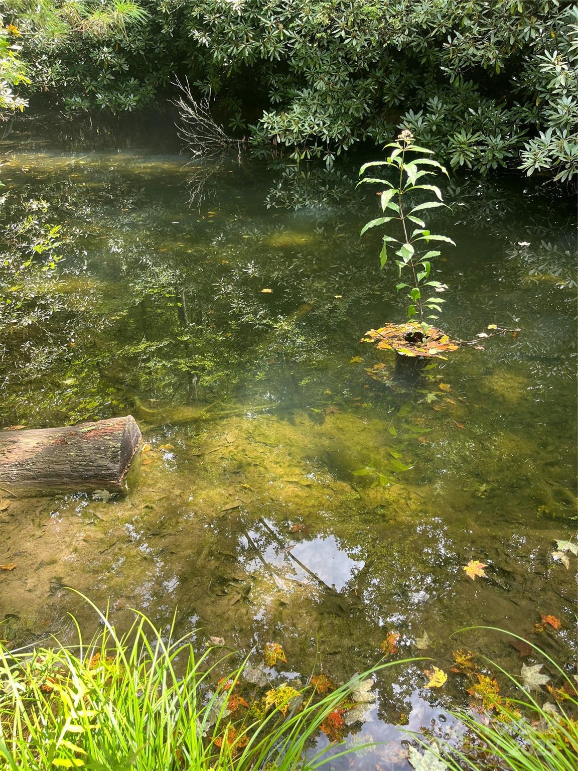 Tbd Tbd Normcol Road Pisgah Forest, NC 28768 - Photo 4 of 10 a view of a lake