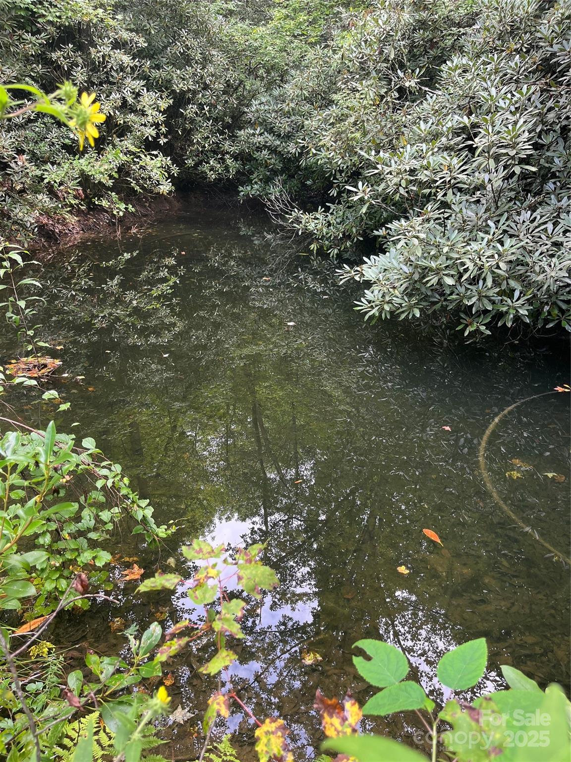 Tbd Tbd Normcol Road Pisgah Forest, NC 28768 - Photo 5 of 10 a view of lake with green space