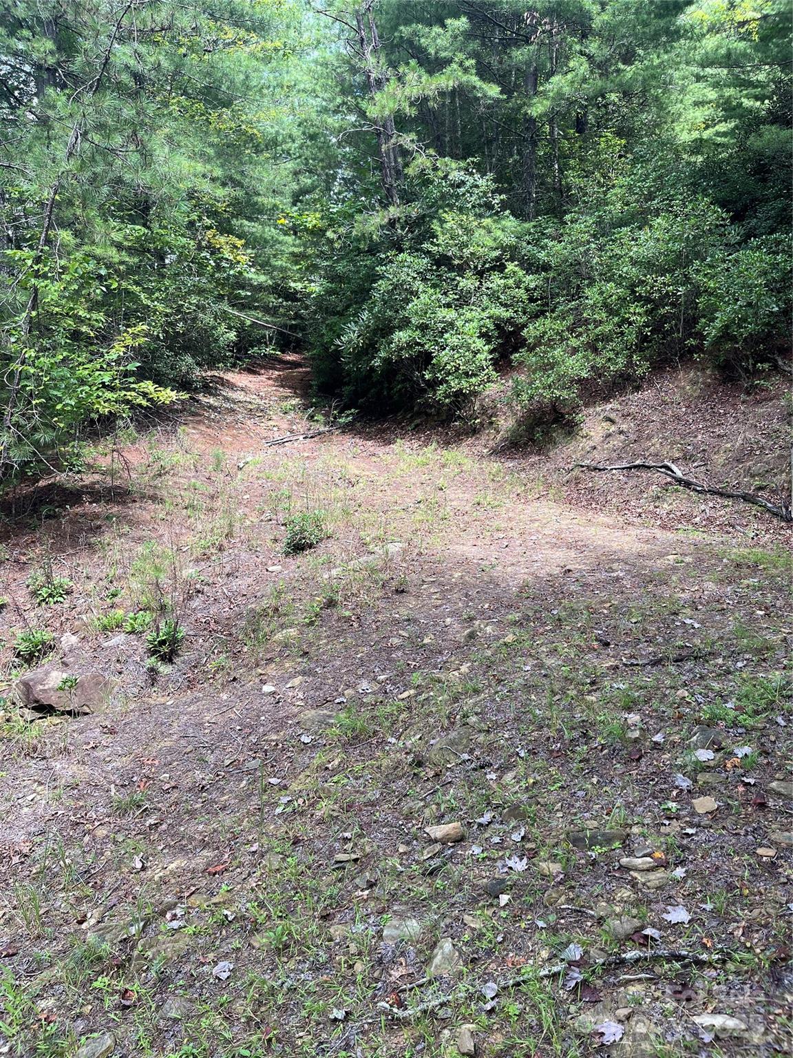 Tbd Tbd Normcol Road Pisgah Forest, NC 28768 - Photo 6 of 10 a view of a forest with trees in the background