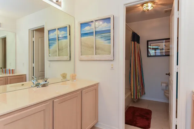 a view of a park with large trees