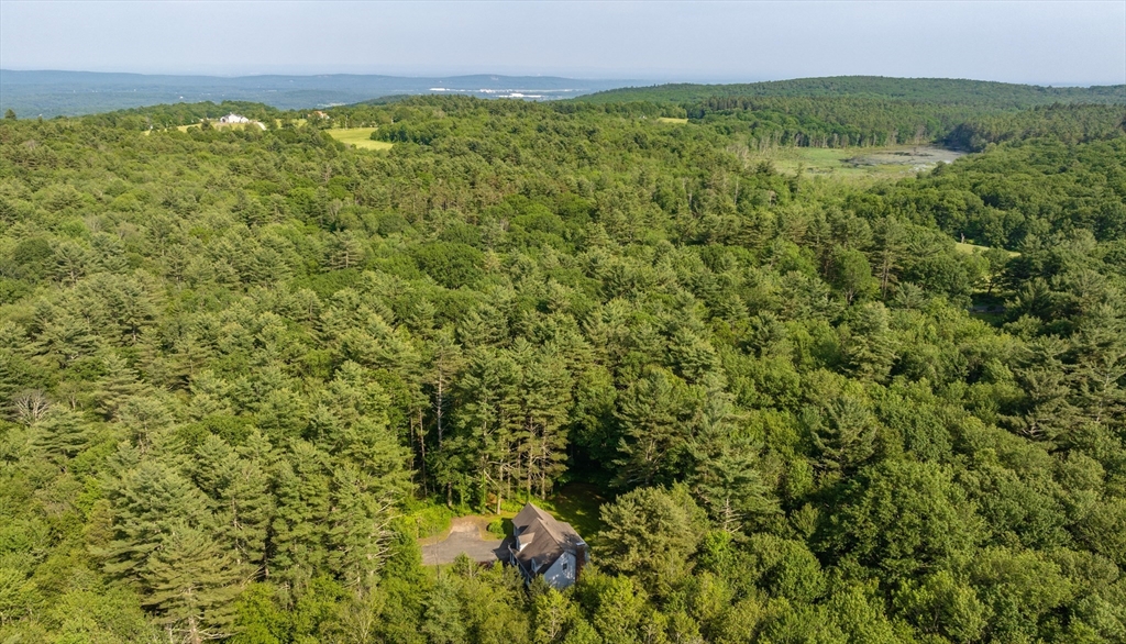 36 Old House Road Montgomery, MA 01085 - Photo 39 of 42 a view of a green field with lots of bushes