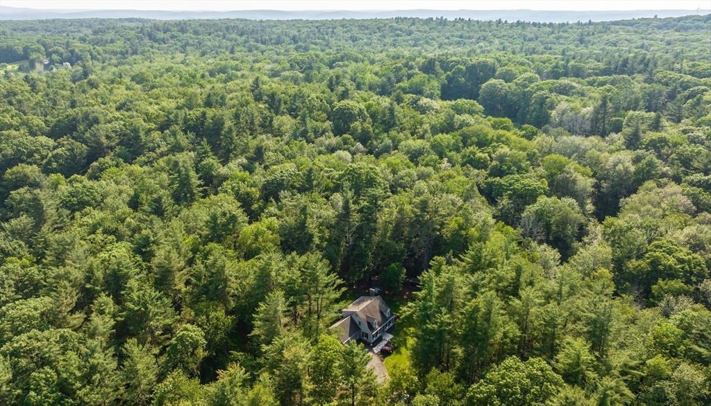 36 Old House Road Montgomery, MA 01085 - Photo 41 of 42 a view of a forest with a street