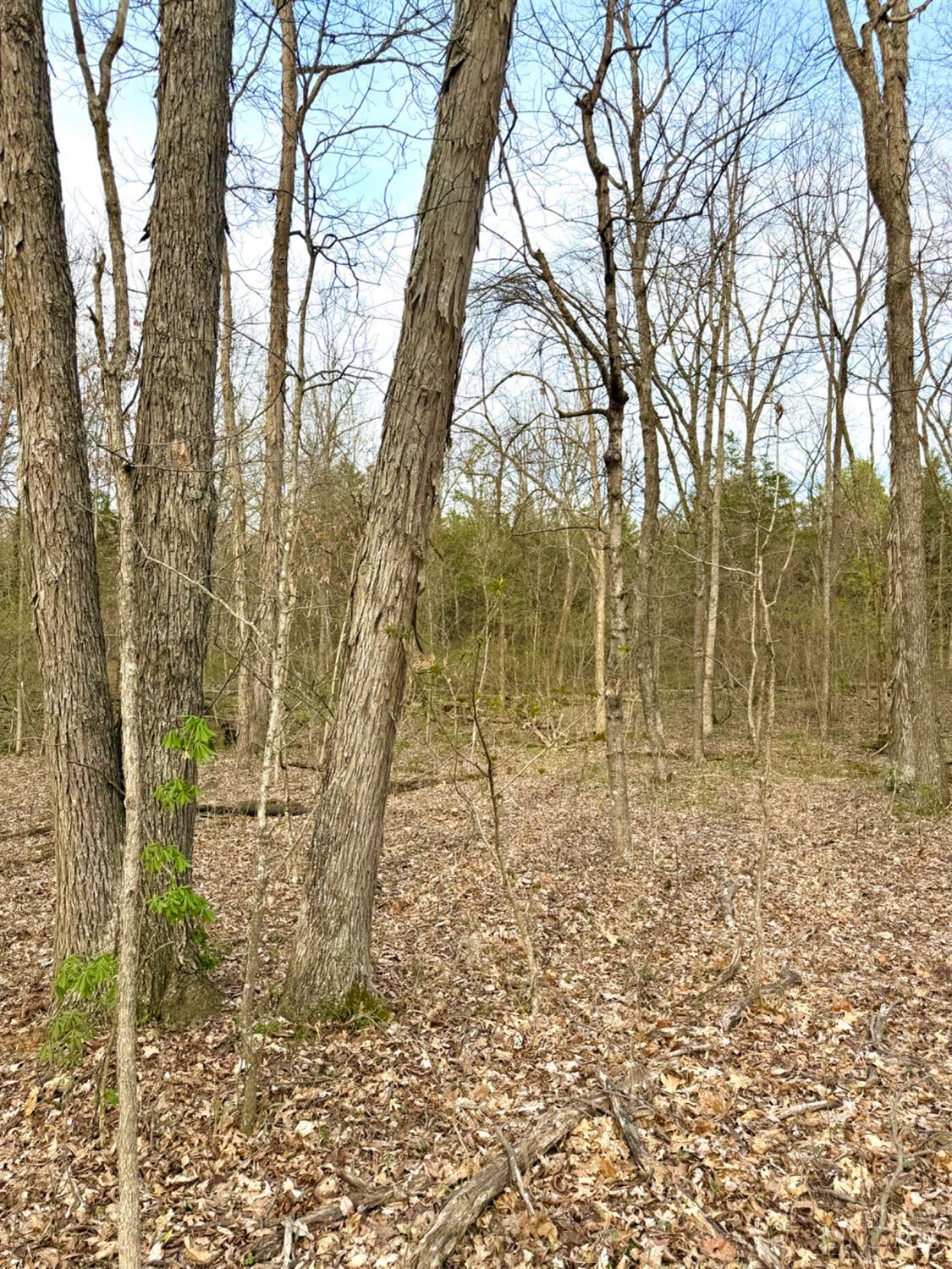 1600 Magee Jones Road Peebles, OH 45660 - Photo 47 of 91