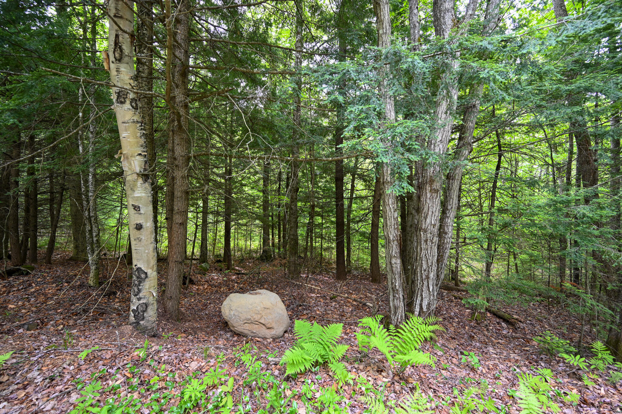Lot 16 Old Towle Road Dixfield, ME 04224 - Photo 8 of 14 Land