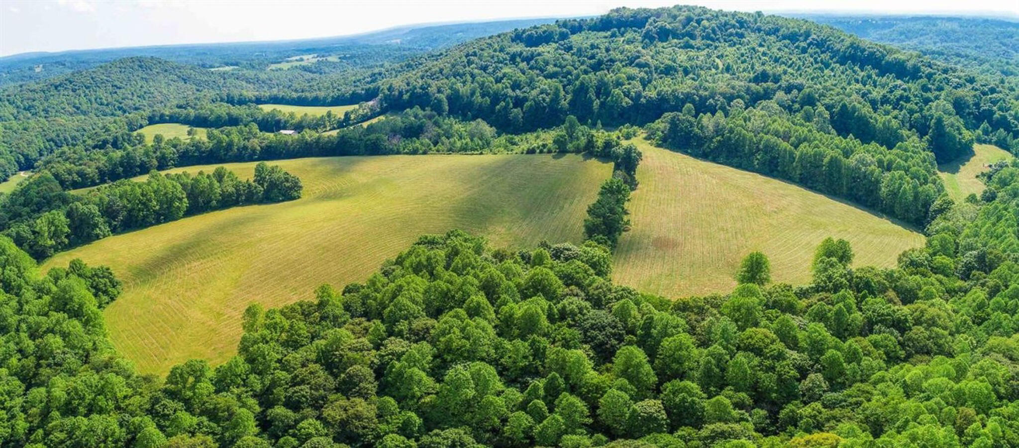 1640 Clear Branch Road Liberty, KY 42539 - Photo 89 of 135 20200917165213842308000000-o