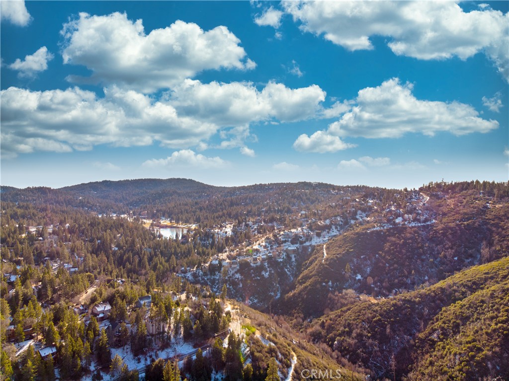 1243 North Grass Valley Road Lake Arrowhead, CA 92352 - Photo 61 of 65