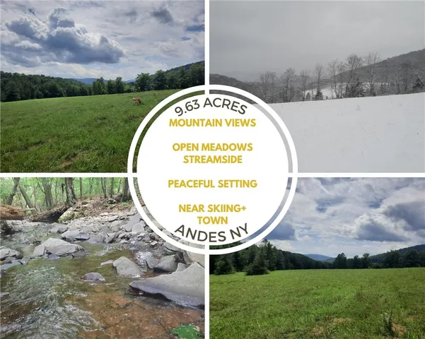 $199,000 | Tbd Lower Dingle Hill Road, Andes, NY 13731
