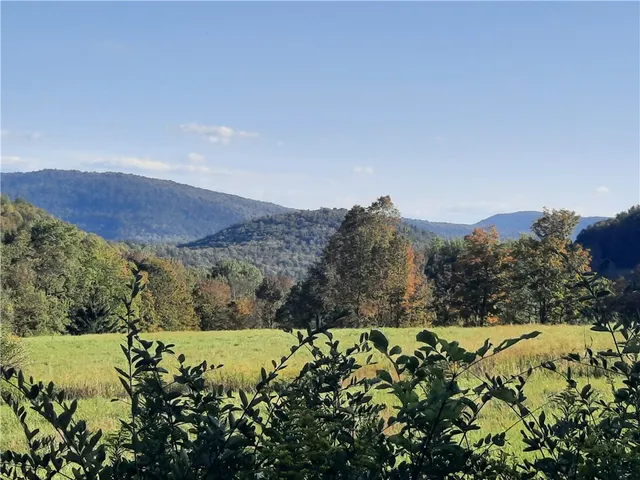 $249,000 | Tbd Lower Dingle Hill Road, Andes, NY 13731